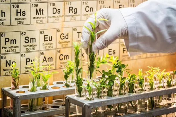 B.Sc. (Forensic Science) | GHRISTU Pune